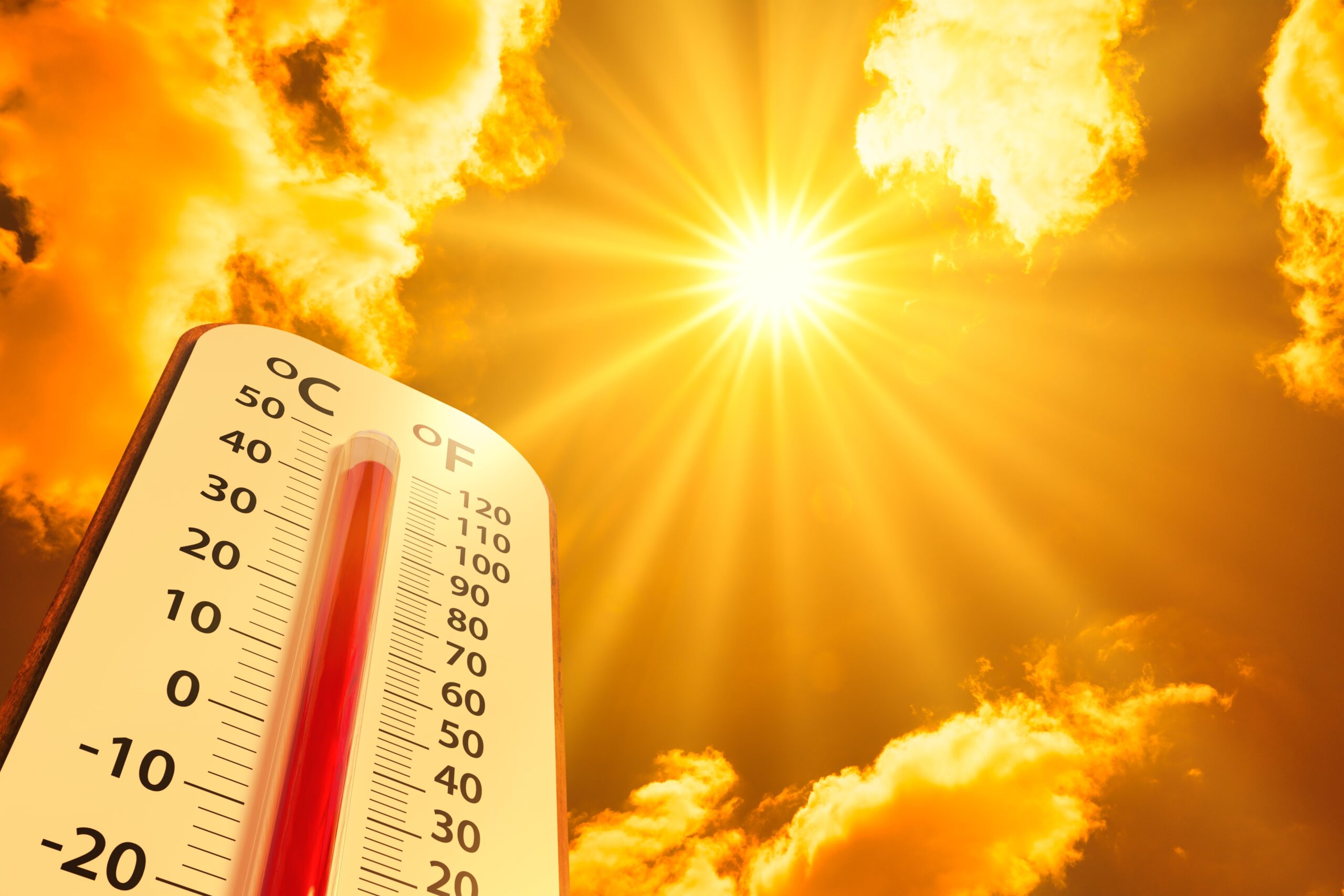 3 Hot New Biotech Launches For Your Sweltering Summer Sick Economics